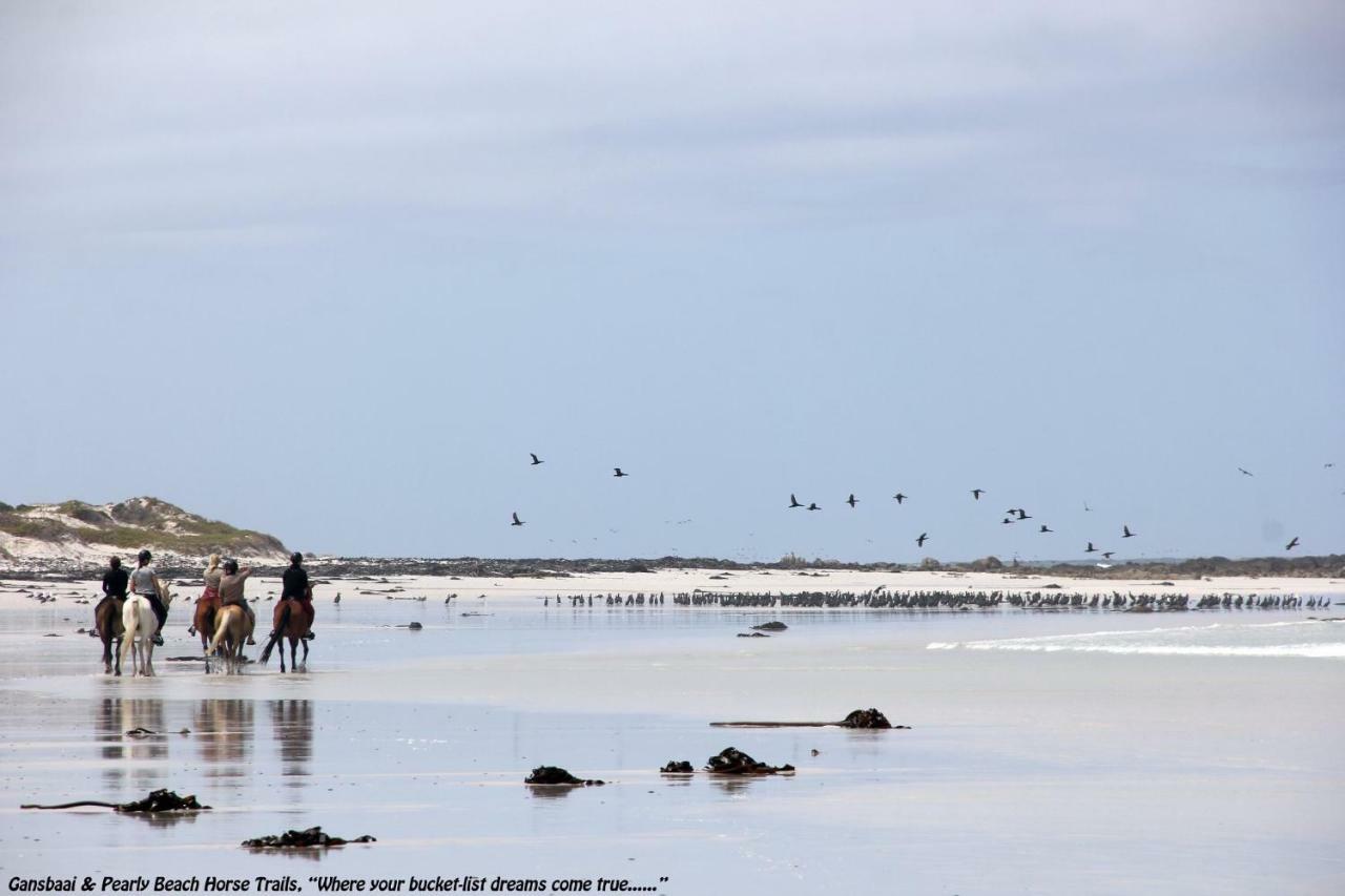 Ons C-Huis - Gansbaai Seafront Accommodation, Back-Up Power Bagian luar foto