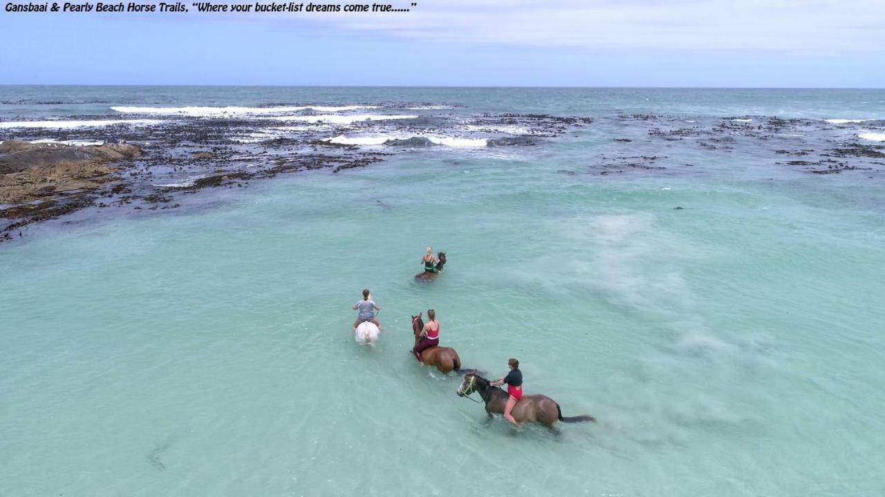 Ons C-Huis - Gansbaai Seafront Accommodation, Back-Up Power Bagian luar foto